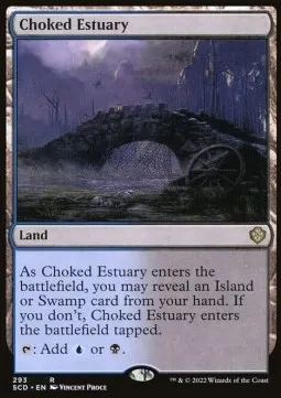 Choked Estuary