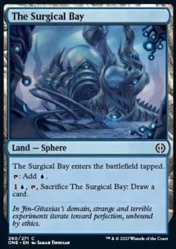 The Surgical Bay
