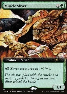 Muscle Sliver