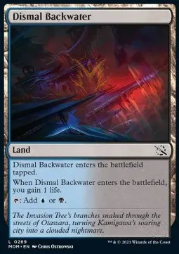 Dismal Backwater