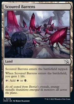 Scoured Barrens