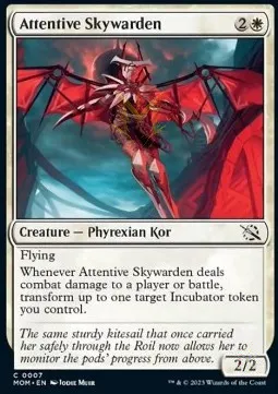 Attentive Skywarden