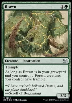 Brawn