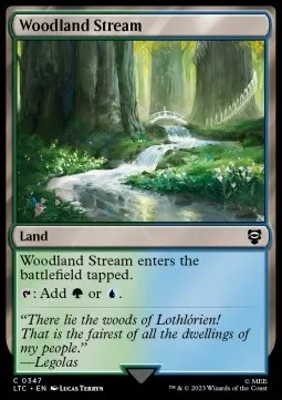 Woodland Stream