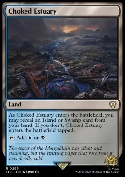 Choked Estuary
