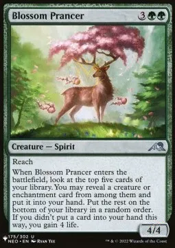 Blossom Prancer