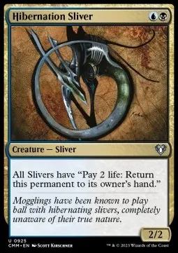 Hibernation Sliver