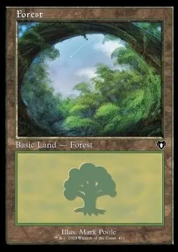 Forest