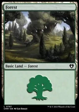 Forest