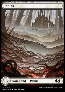 Plains