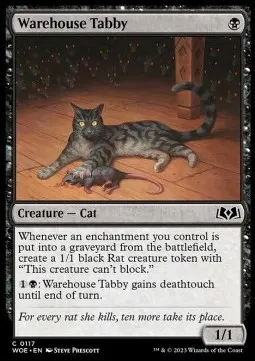 Warehouse Tabby