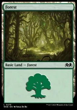 Forest
