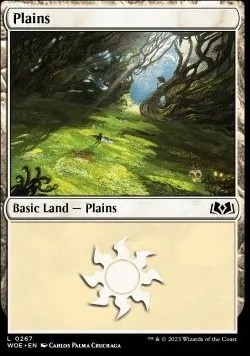 Plains