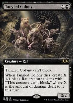 Tangled Colony