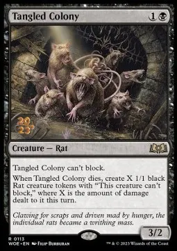Tangled Colony