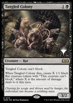 Tangled Colony