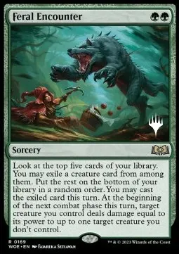Feral Encounter