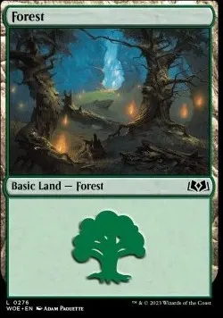 Forest