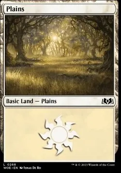 Plains