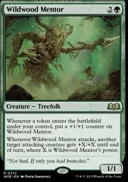 Wildwood Mentor