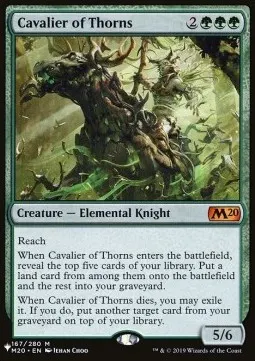 Cavalier of Thorns
