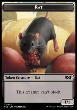 Food // Rat