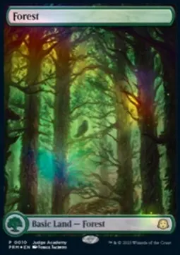 Forest