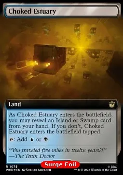 Choked Estuary