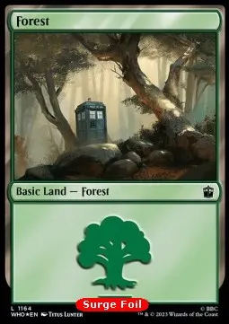 Forest