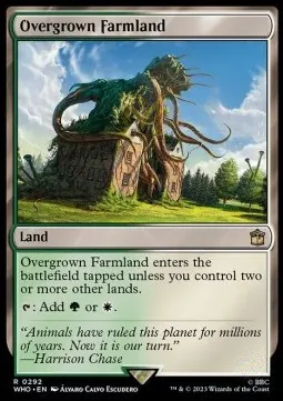 Overgrown Farmland