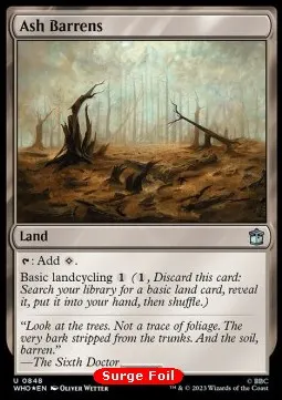 Ash Barrens