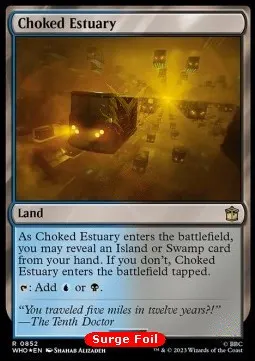Choked Estuary