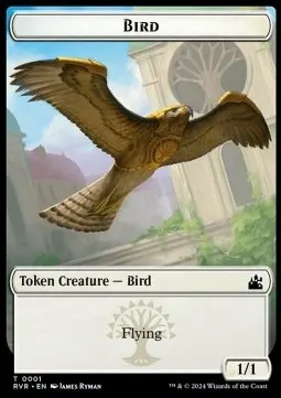 Bird // Bird Illusion