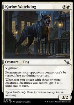 Karlov Watchdog