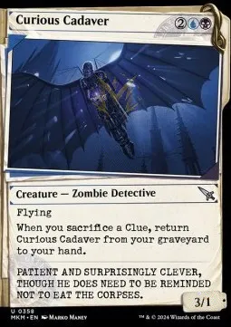 Curious Cadaver