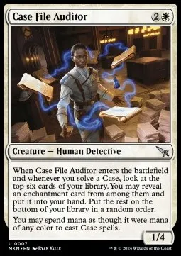 Case File Auditor