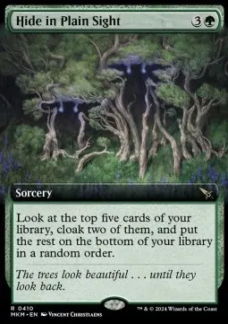 Hide in Plain Sight