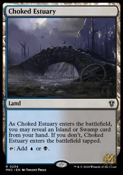Choked Estuary
