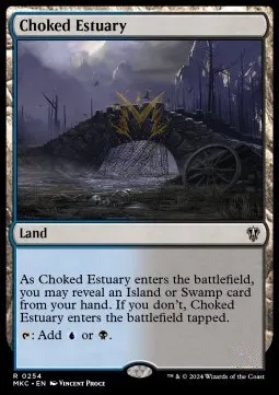 Choked Estuary