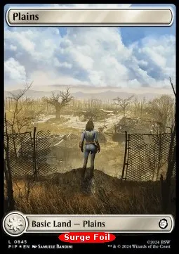 Plains