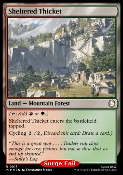 Sheltered Thicket