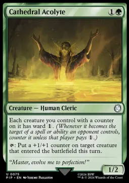 Cathedral Acolyte