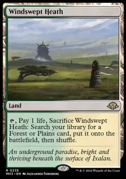 Windswept Heath
