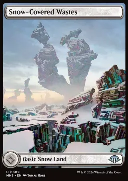 Snow-Covered Wastes