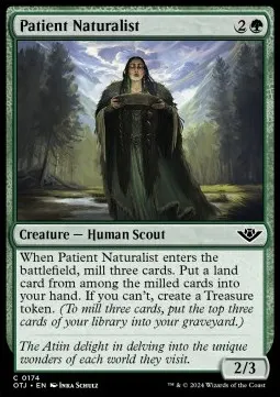 Patient Naturalist
