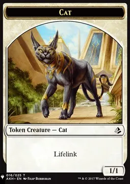Cat // Citizen