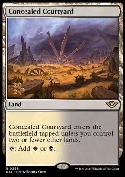 Concealed Courtyard