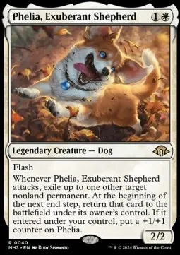 Phelia, Exuberant Shepherd