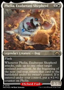 Phelia, Exuberant Shepherd