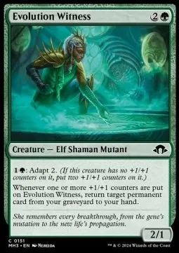 Evolution Witness